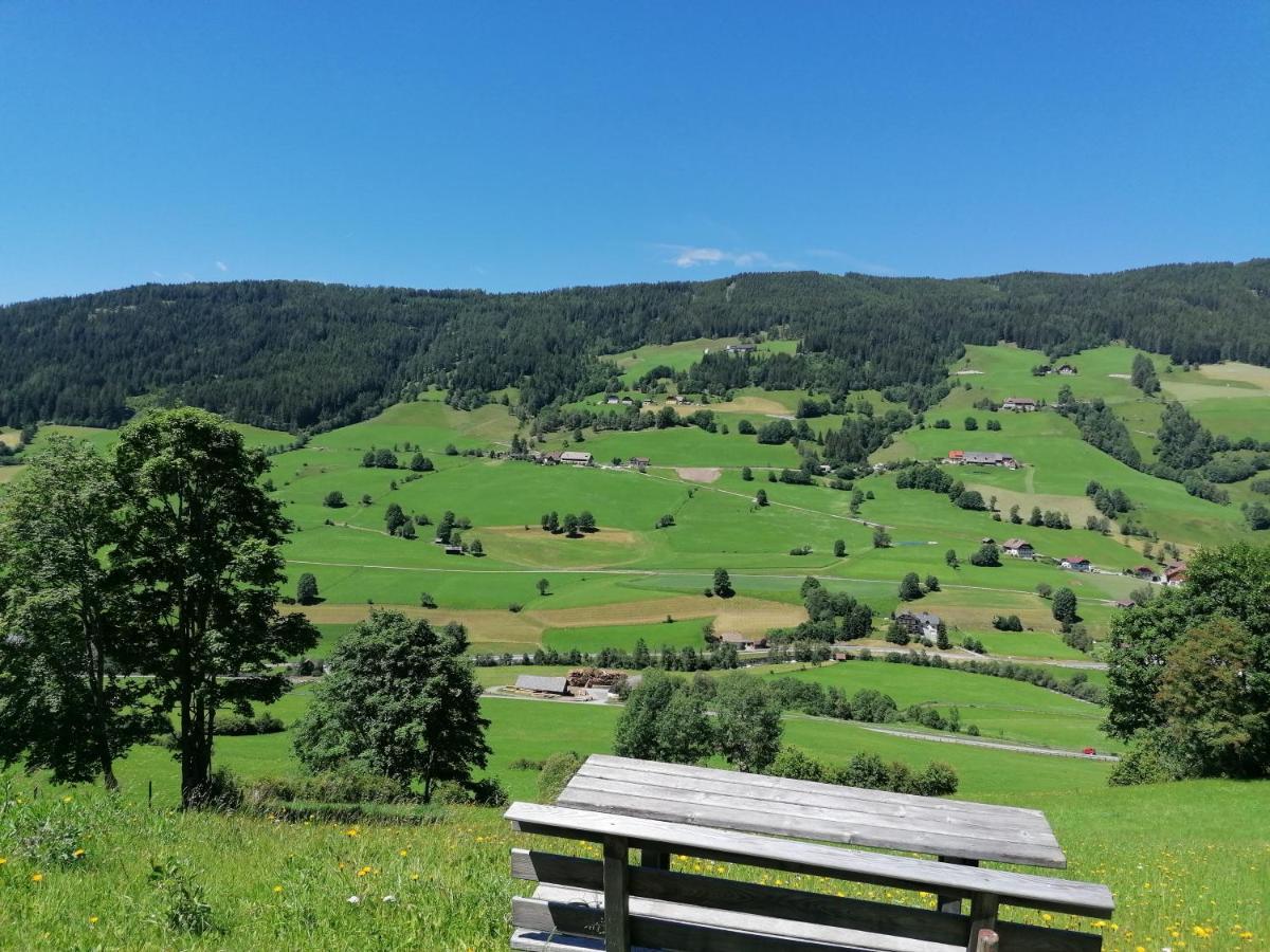 Fanningerwirt Holzer Apartamento Mariapfarr Exterior foto